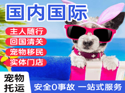 白城空运代理国际宠物托运 【国
